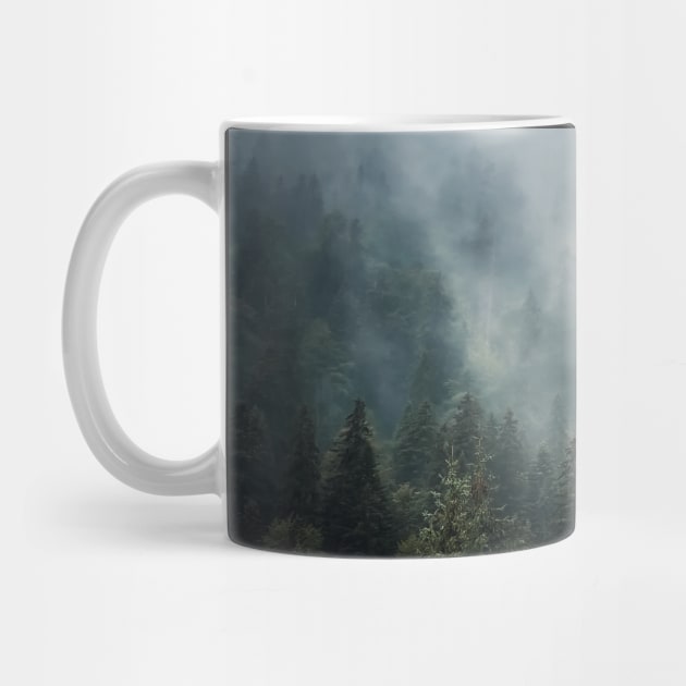 Sunlit foggy fir forest by psychoshadow